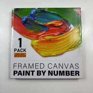 Offito Framed Paint by Number Kit - Purple Hydrangea Flower 10x10 Canvas